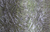 Trumaisgearraidh fibreglass roof work