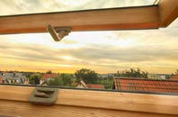 rated Trumaisgearraidh roof window companies